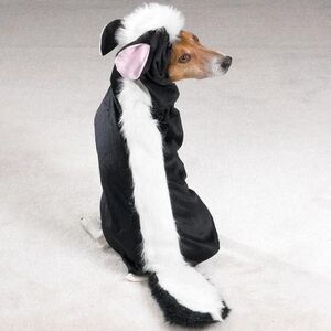 Casual Canine Black and White Skunk Dog Costume